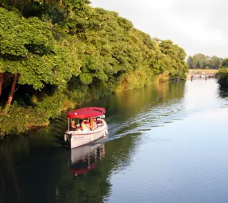 Ca7fde52 Ce74 4A1a 84Bd Ac46a46da5c9